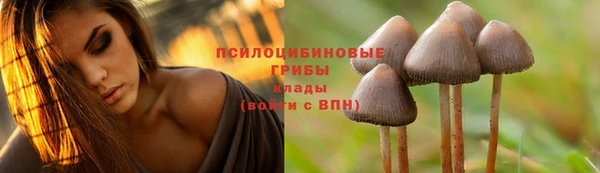 a pvp Алексин