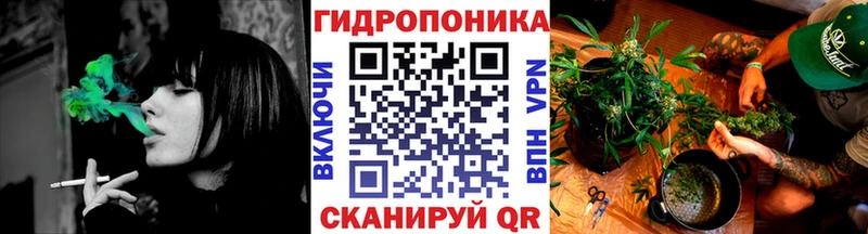 omg ссылка  продажа наркотиков  Анива  Марихуана сатива 